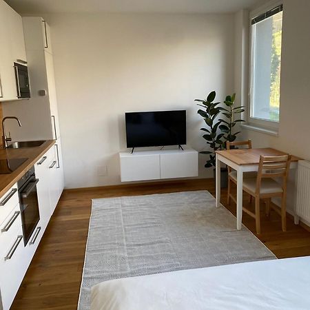 Vila Vinice Prága Kültér fotó